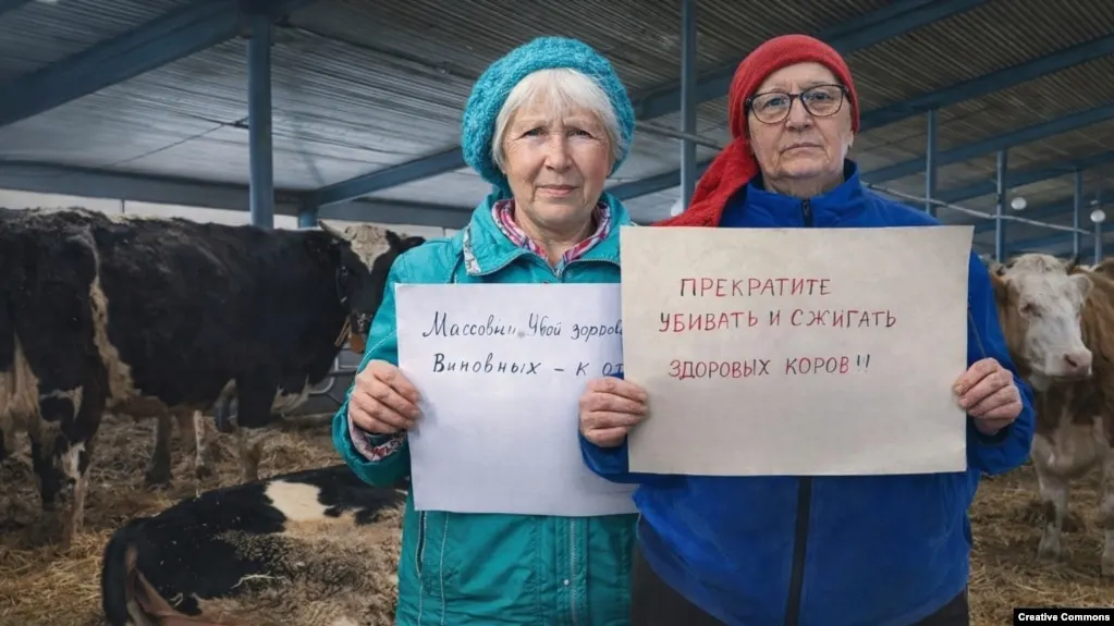 Губернатор Новосибирской области освободил от должности министра сельского хозяйства Андрея Шинделова, сославшись на накопившиеся претензии, в том числе из‑за ситуации с массовым забоем скота и вспышками опасных заболеваний животных в ряде регионов.