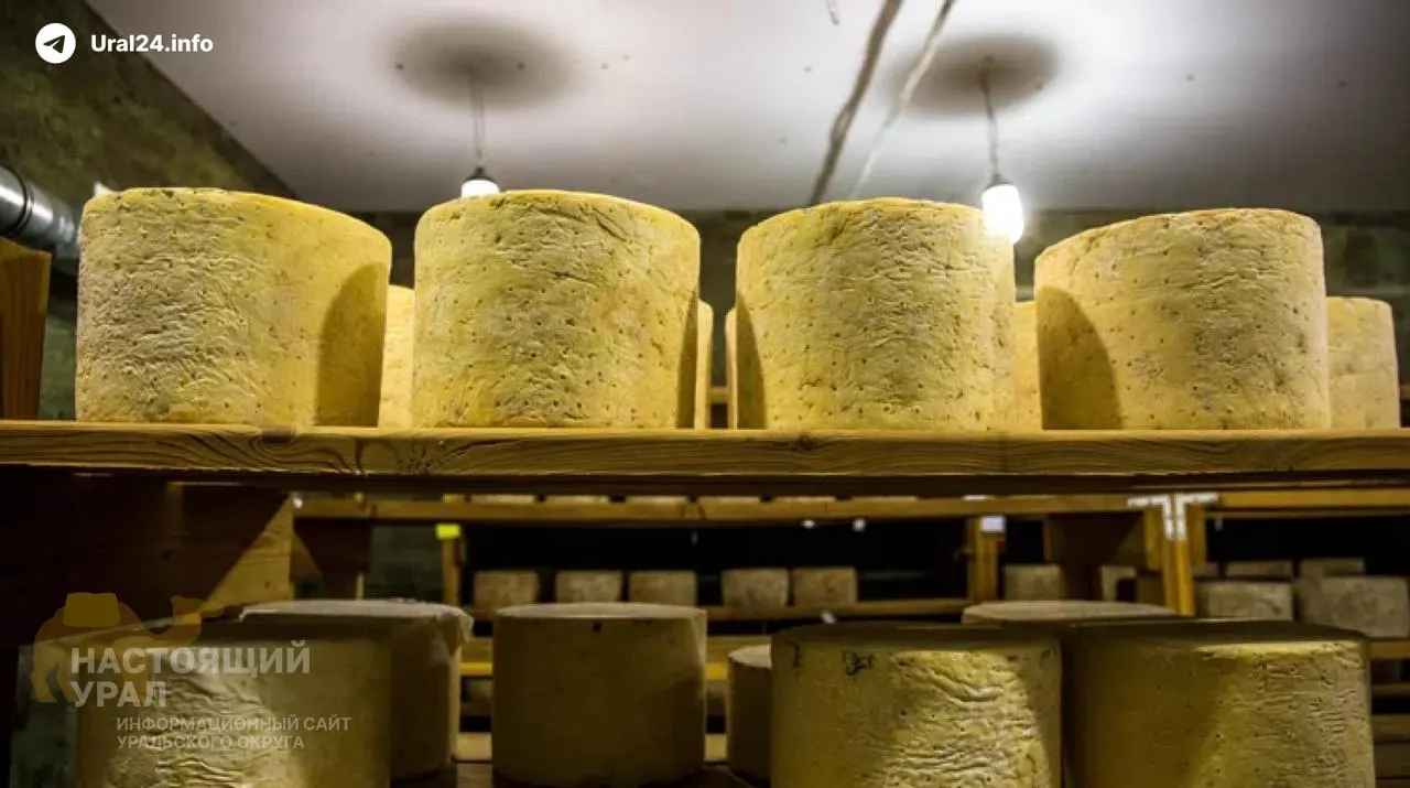 В селе Чаши остановил работу местный маслосырзавод: продукцию утилизировали из‑за истёкшего срока годности, персонал распущен, предприятие выставлено на продажу, против директора возбуждено уголовное дело за невыплату зарплат.