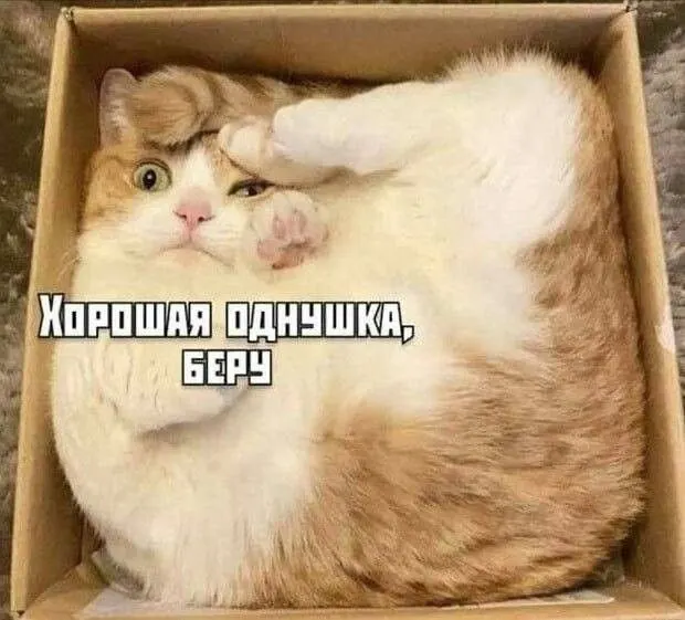 В марте 2026 года средняя ставка по ипотеке в Забайкальском крае составила 5,56%. Ниже 6% зафиксировано всего в семи регионах России, большинство — в Дальневосточном федеральном округе.