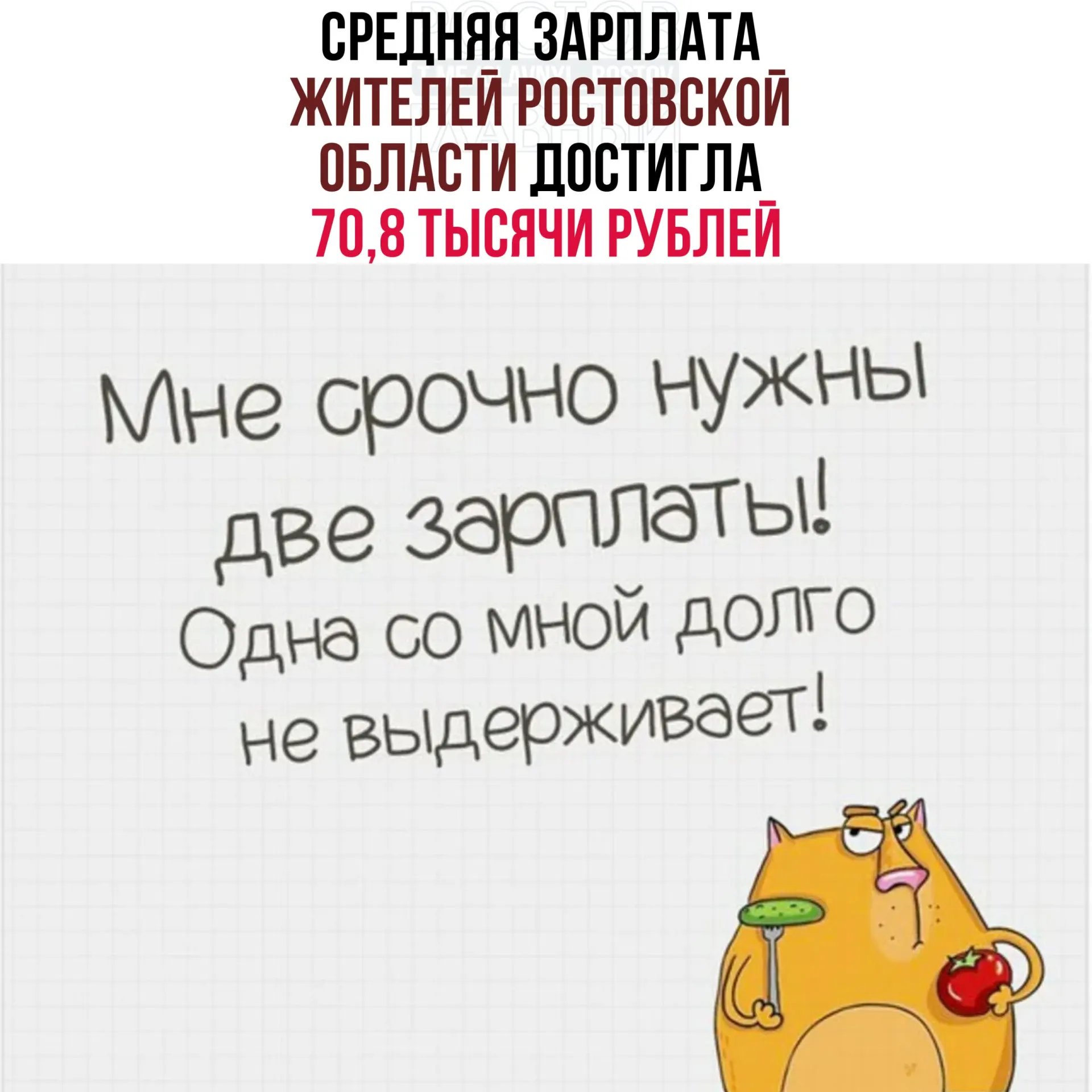 В 2025 году средняя месячная зарплата в регионе увеличилась на 13,9% — до 70,8 тыс. рублей. Среднедушевые денежные доходы населения выросли на 15,3% и достигли 64,4 тыс. рублей.
