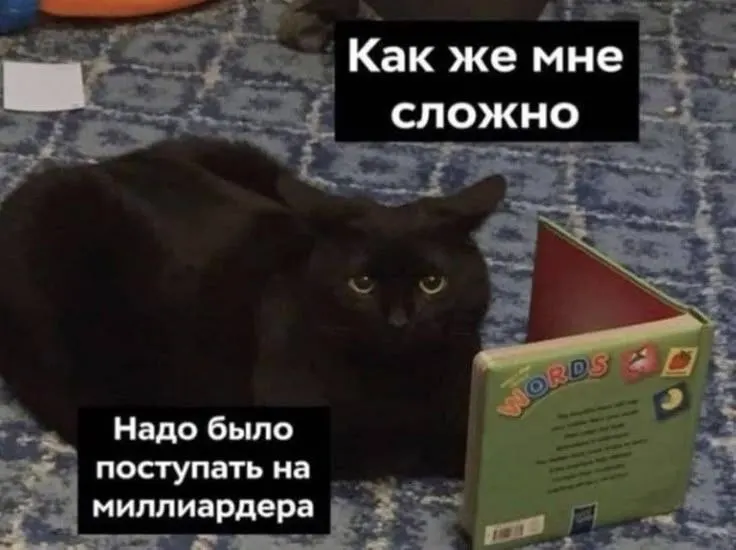 По оценкам аналитиков, примерно 75% жителей Омской области смогут получать по 200 тысяч рублей в месяц через 12 лет. Регион за год опустился в рейтинге с 43-го на 50-е место.