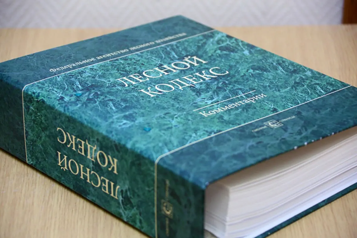 Эксперт по лесному хозяйству отмечает, что многочисленные поправки сделали кодекс неактуальным и предлагает создать новый, компактный и понятный документ, чтобы снизить риски для бизнеса и специалистов.