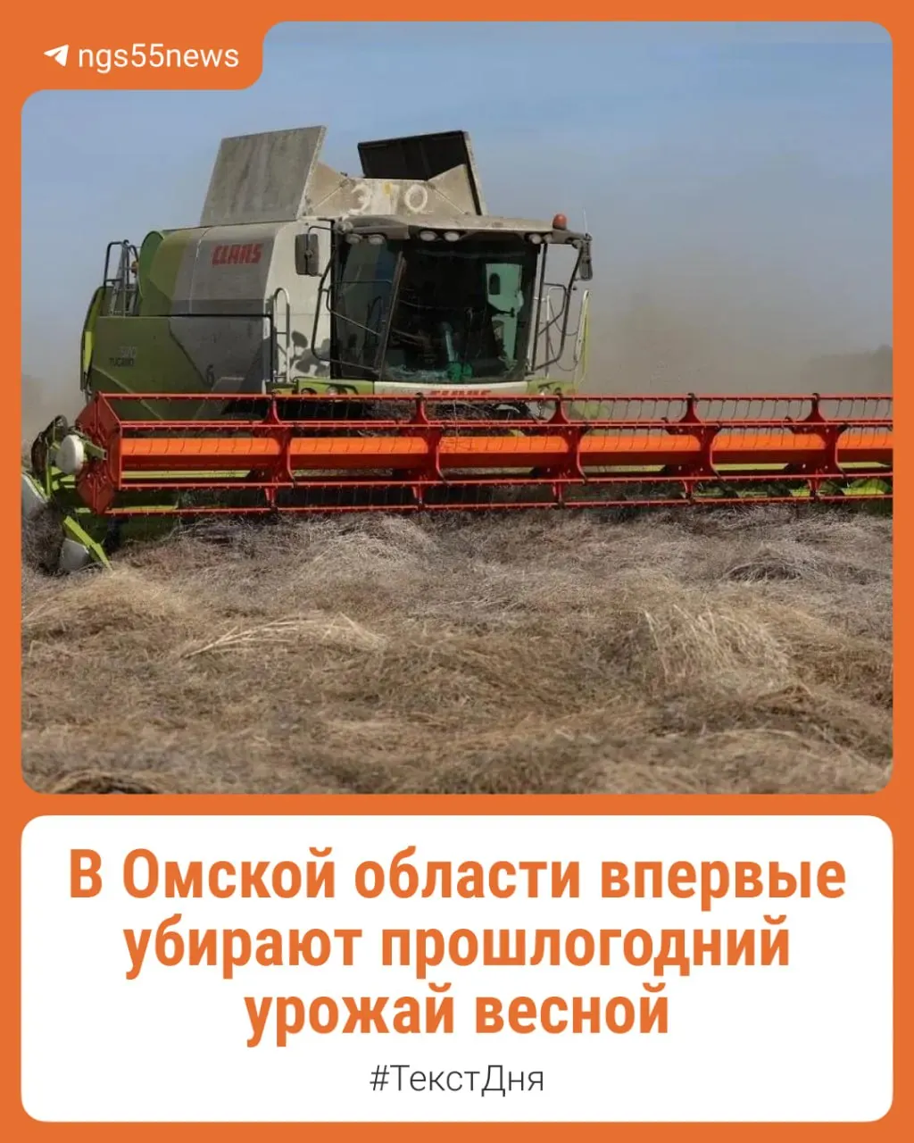 После аномального снегопада осенью 2025 года десятки тысяч гектаров культур ушли под снег — теперь сельхозпроизводители Омской области в середине апреля запускают комбайны, чтобы собрать недособранные посевы.
