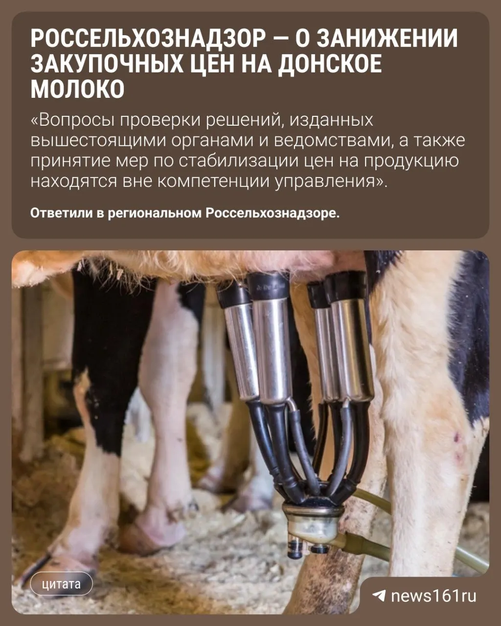 Ведомство ответило донским фермерам: регулирование закупочных цен на молоко не относится к его полномочиям. Снижение цен связывают с ограничениями на вывоз и статусом региона по пастереллезу.