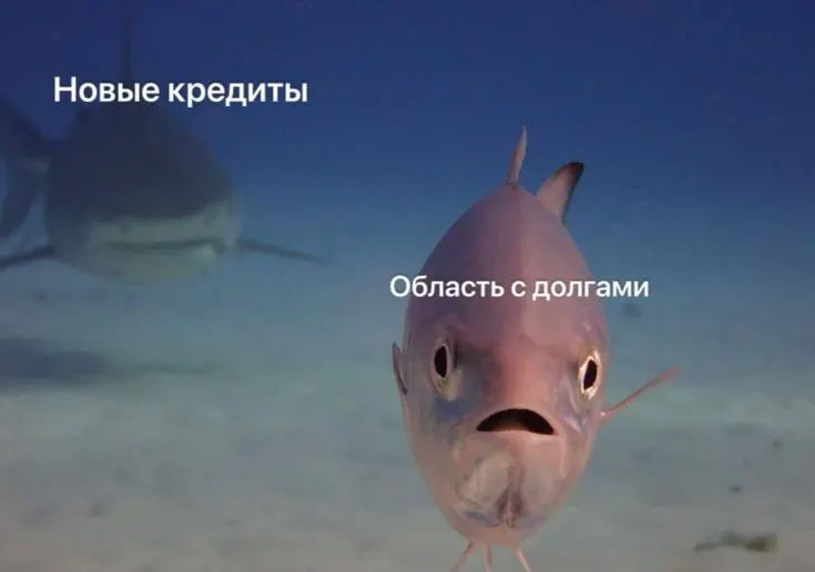 Регион собирается привлечь три транша под 18% годовых: 2 млрд, 4 млрд и 3 млрд рублей. Погашение запланировано на май или август 2027 года. С начала года область уже привлекла почти 33 млрд.