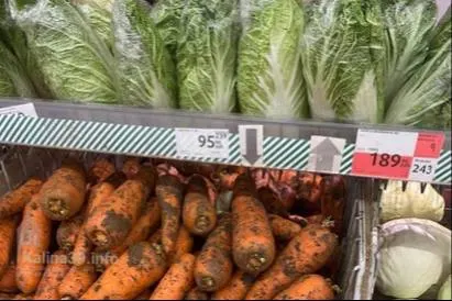 Продуктовая корзина в крупных сетях Калининграда за месяц подорожала на 92–209 рублей; особенно заметен рост цен на овощи и фрукты — в том числе огурцы.