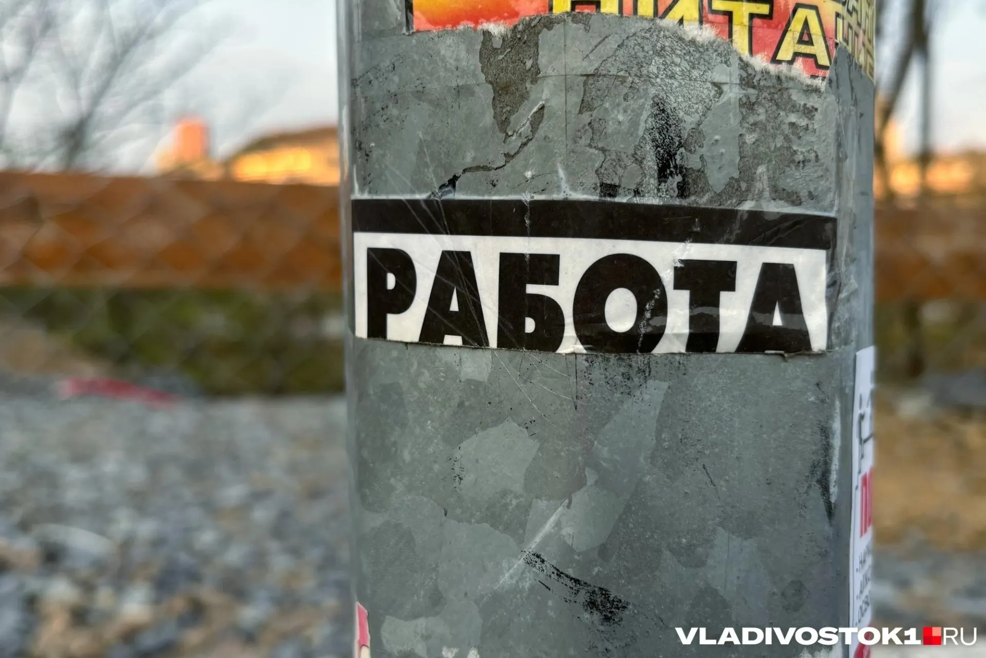 За январь–май 2026 года средняя месячная зарплата в регионе составила 97 452 ₽ — рост на 25% по сравнению с тем же периодом 2025 года; особенно выросли доходы рабочих и обслуживающего персонала.
