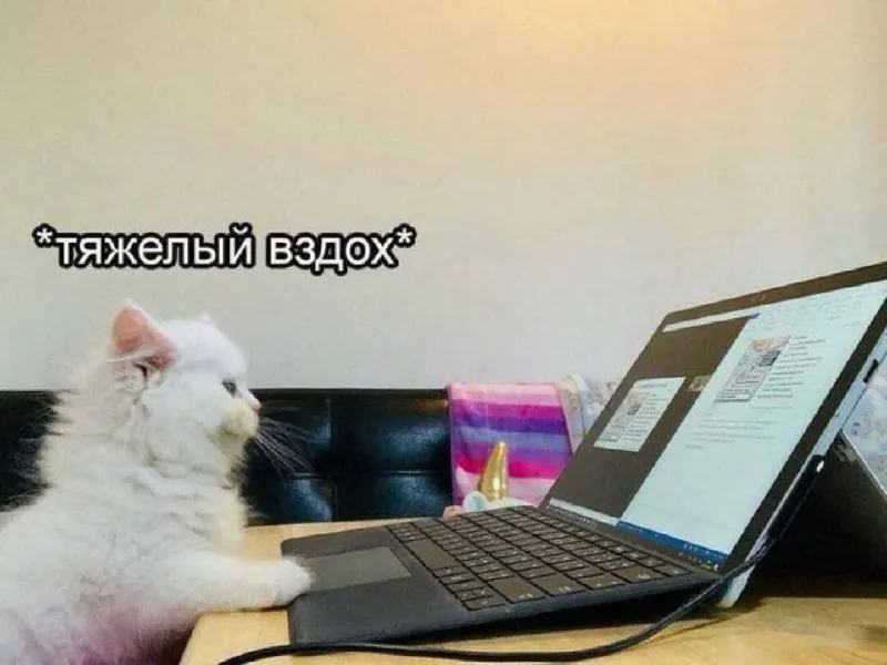 Министр труда заявил, что переход на четырёхдневную неделю на данный момент не планируется; эксперт отмечает, что низкая производительность может сделать сокращение рабочего времени проблематичным для экономики.