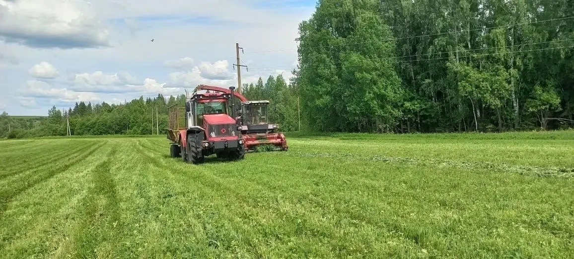 В рыбхозе «Пихтовка» из‑за резкого роста цен и перебоев с поставками ГСМ досрочно заканчивают заготовку силоса; хозяйство уже взяло кредит и почти израсходовало запасы топлива.