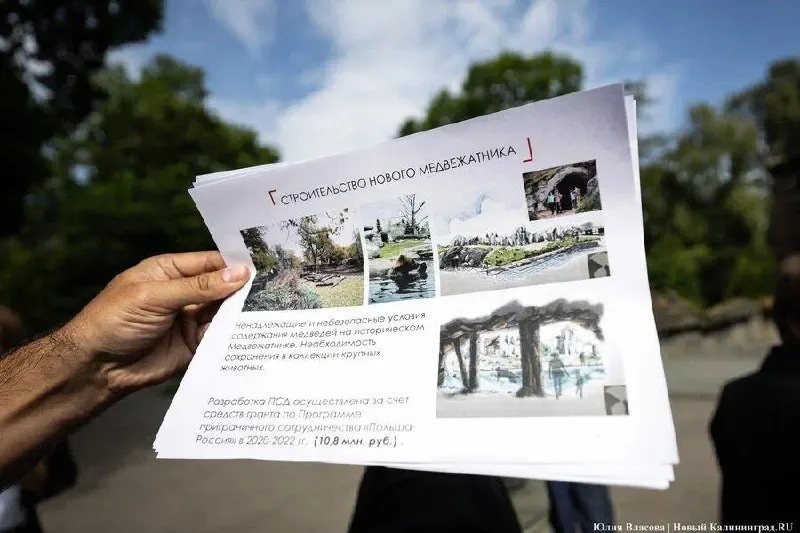 Региональные власти выдали разрешение на переоборудование бывших вольеров для лосей в комплекс для содержания медведей и волков. Проект оценивают в 472,3 млн рублей, работы планируют провести после проведения торгов.