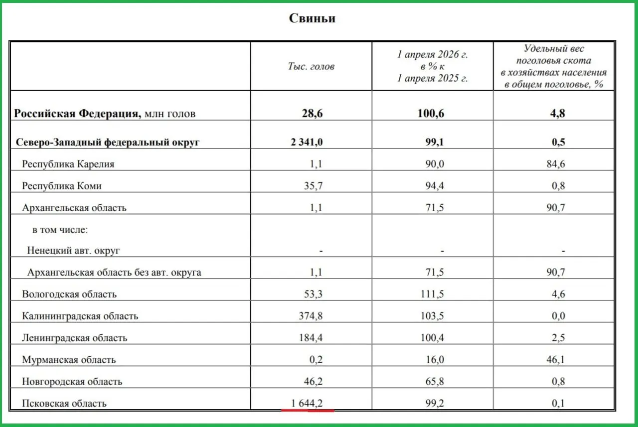 По обновлённым данным Росстата в Псковской области насчитывается 1,644 млн свиней — около 70% от общего поголовья по Северо‑Западному федеральному округу.