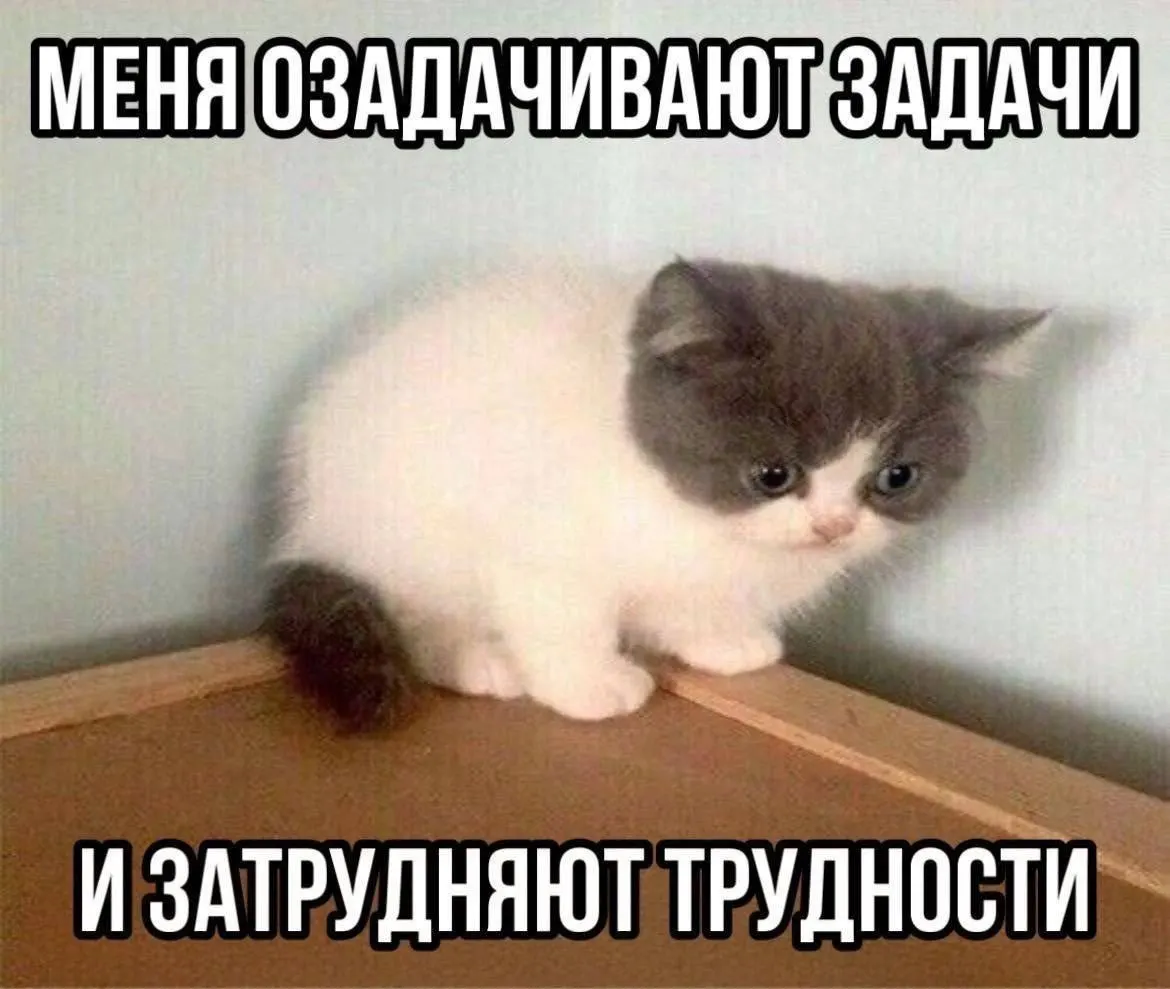 Минфин региона объявил 11 аукционов на займы суммарно 11,5 млрд рублей с датой проведения с 29 июня; кредиты на год под ставку 18% годовых для покрытия дефицита и погашения долгов.