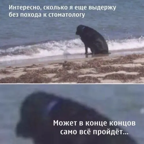 Республика заняла 60-е место в ежегодном рейтинге по уровню благосостояния семей. После вычета базовых расходов средняя семья остаётся с примерно 29,1 тыс. руб. (с двумя детьми) или 48,6 тыс. руб. (с одним ребёнком). За год стоимость медуслуг в регионе выросла на 17,7%.