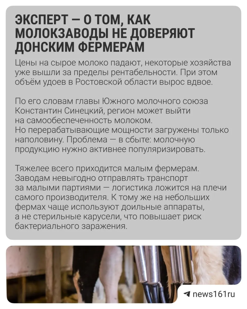 По данным Южного молочного союза, среднесуточные удои в регионе удвоились по сравнению с прошлым годом, однако некоторые сельхозпроизводители продолжают работать в убыток.