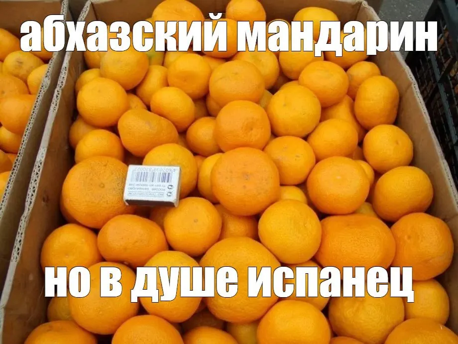 Глава Абхазии Бадра Гунба заявил, что под брендом «абхазские мандарины» на российские прилавки попадают поставки из других стран, однако, по его словам, они не сопоставимы по качеству с местным урожаем.