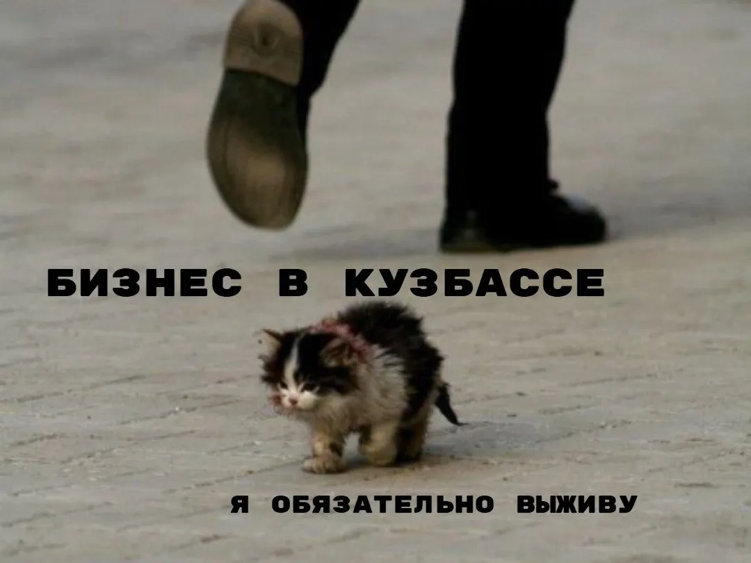 Анонсированные налоговые послабления для предпринимателей, переезжающих в Кузбасс, вряд ли заметно увеличат доходы региона. По оценке экономиста Татьяны Зубаревич, эффект будет минимален на фоне падения поступлений по налогу на прибыль.