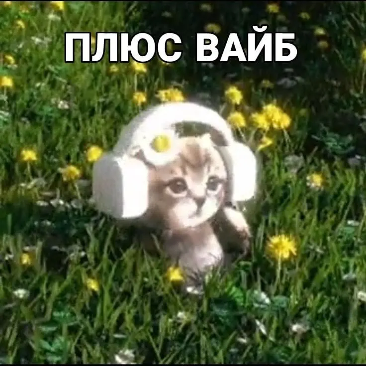 Регион переместился с 58-го на 54-е место: рейтинг вырос с 38,8 до 43,07 балла. По темпам роста Забайкалье вошло в число лидеров страны.
