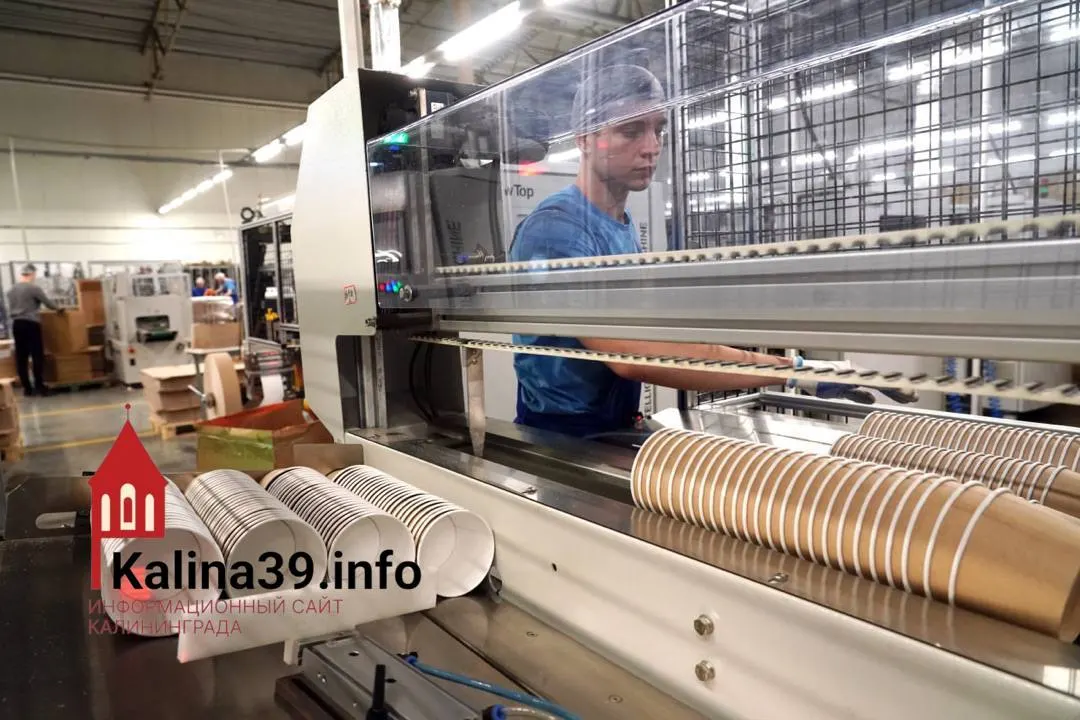 Компания OSQ International намерена начать строительство предприятия рядом с аэропортом Храброво до конца 2026 года. Ожидаемые инвестиции — 550 млн рублей (еще 200 млн уже вложено); мощность — около 500 млн единиц упаковки в год. Вызывают вопросы возможные экологические последствия производства.