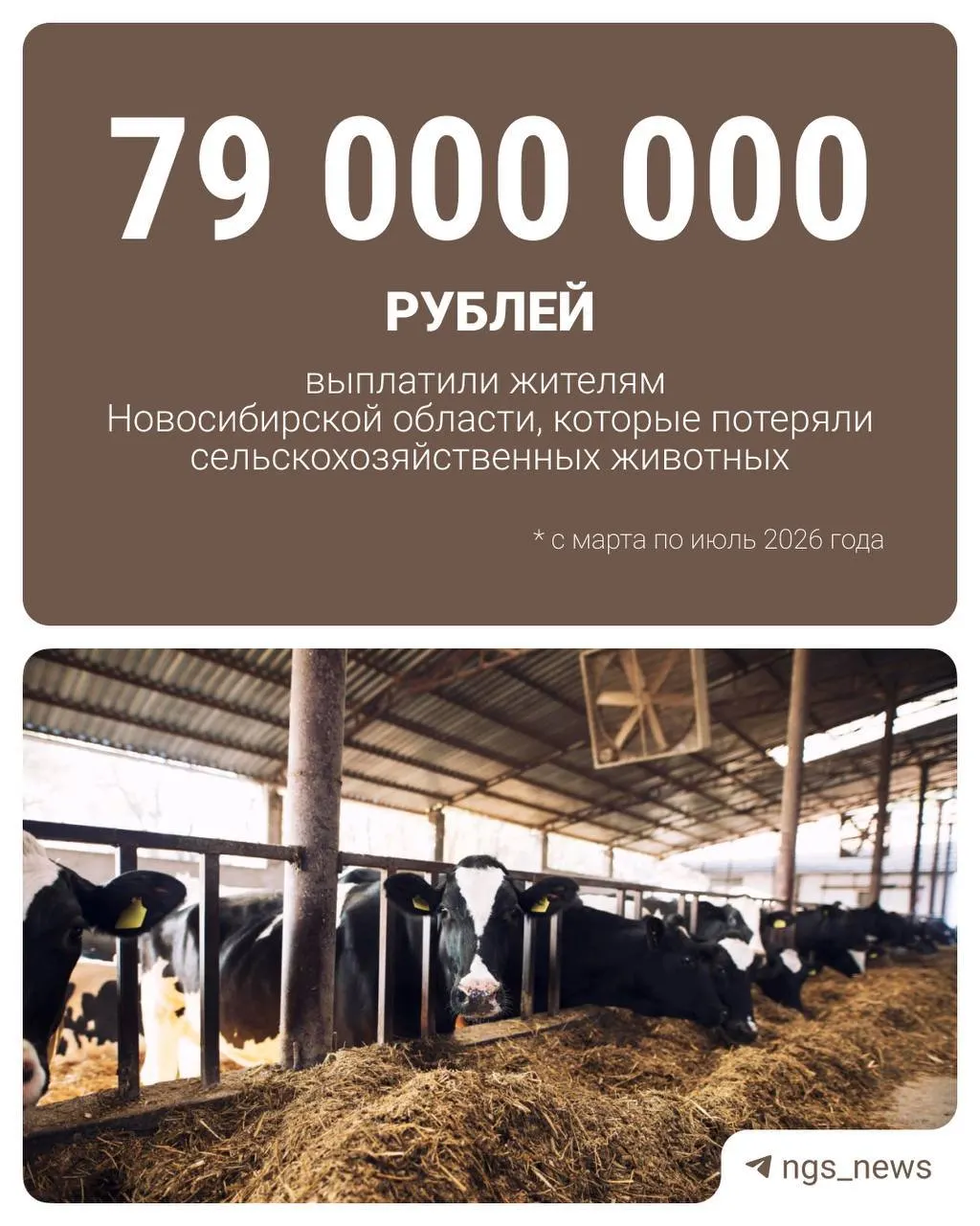 Владельцы хозяйств смогут вернуть половину расходов на приобретение скота. Кроме разовой компенсации, им положена ежемесячная социальная выплата — её уже получили 274 человека. Помощь окажут также некоммерческие фонды и отраслевые ассоциации.