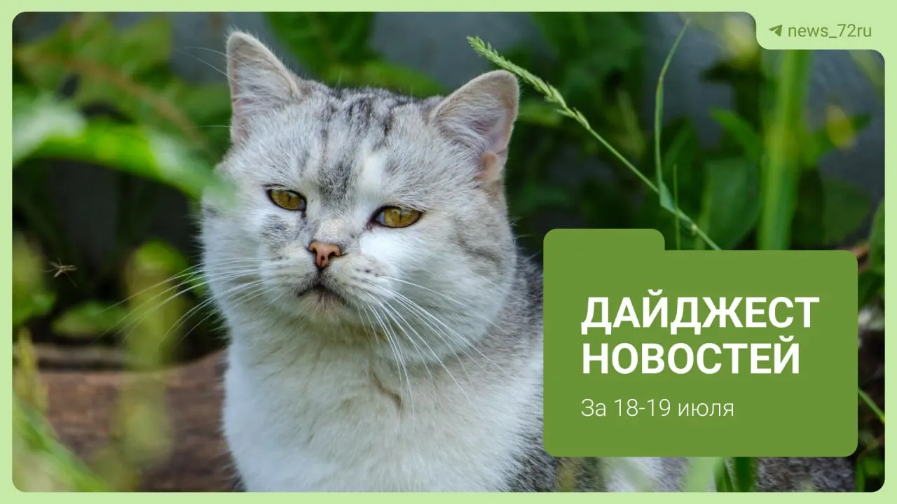Краткий обзор местных событий: конфликт в очереди на АЗС, отмена запретов на приём врачей, происшествия в городе и полезные заметки для жителей.