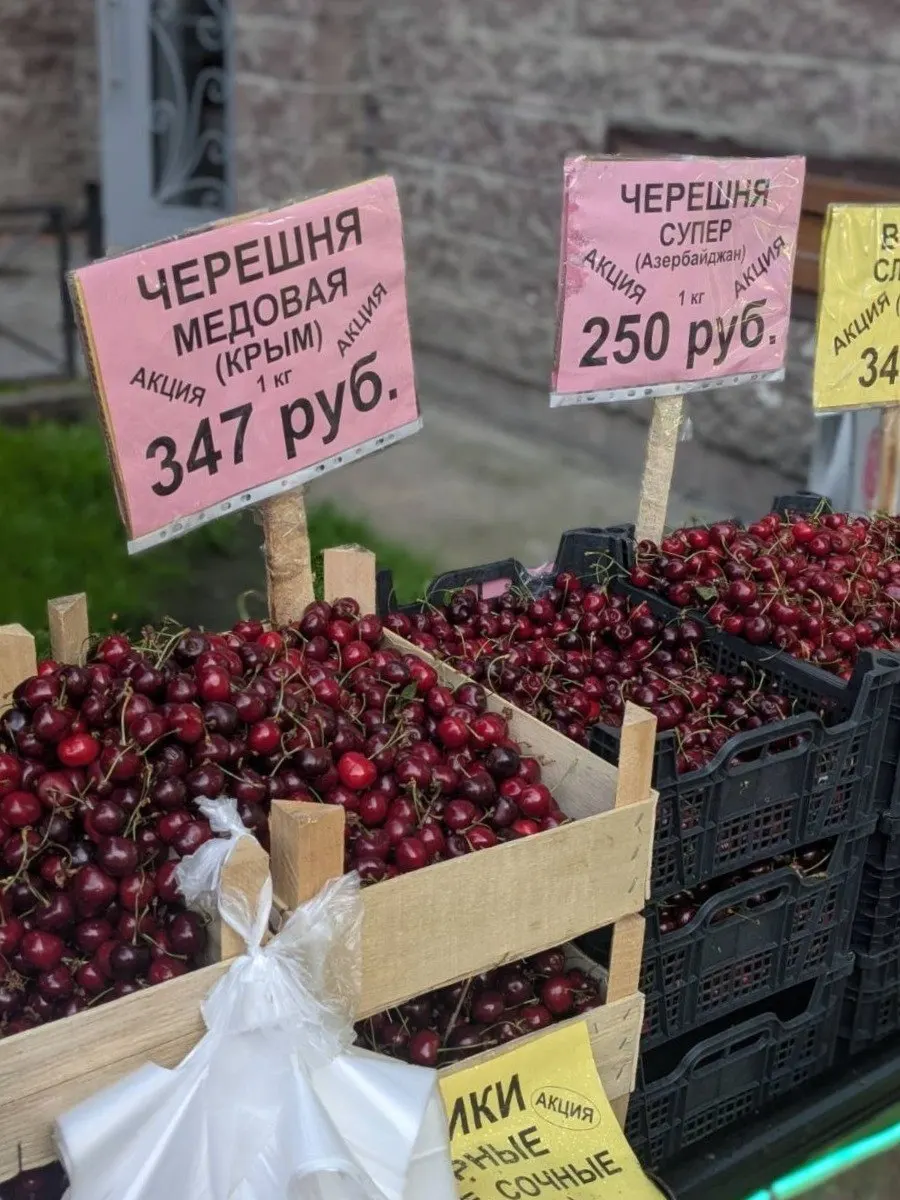 За год черешня в Петербурге подорожала порядка 20%. В июле цены отчасти скорректировались, но факторы удорожания — импортная зависимость, ограничения на ввоз и погодные аномалии — сохраняют влияние на рынок.