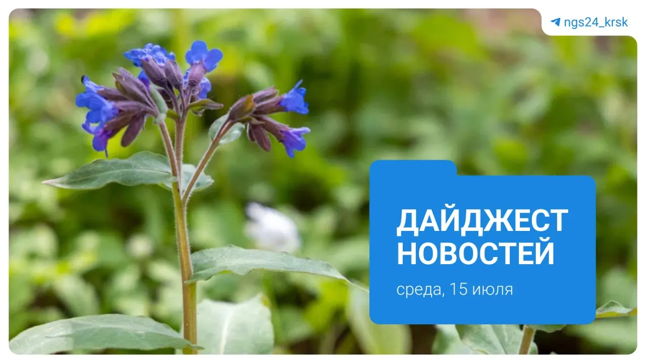 Краткий обзор ключевых событий региона за 15 июля: рост цен на бензин, работы на станции метро «Улица Копылова», инциденты в аэропорту и на дороге, приостановка угольного проекта и закрытие книжного магазина.