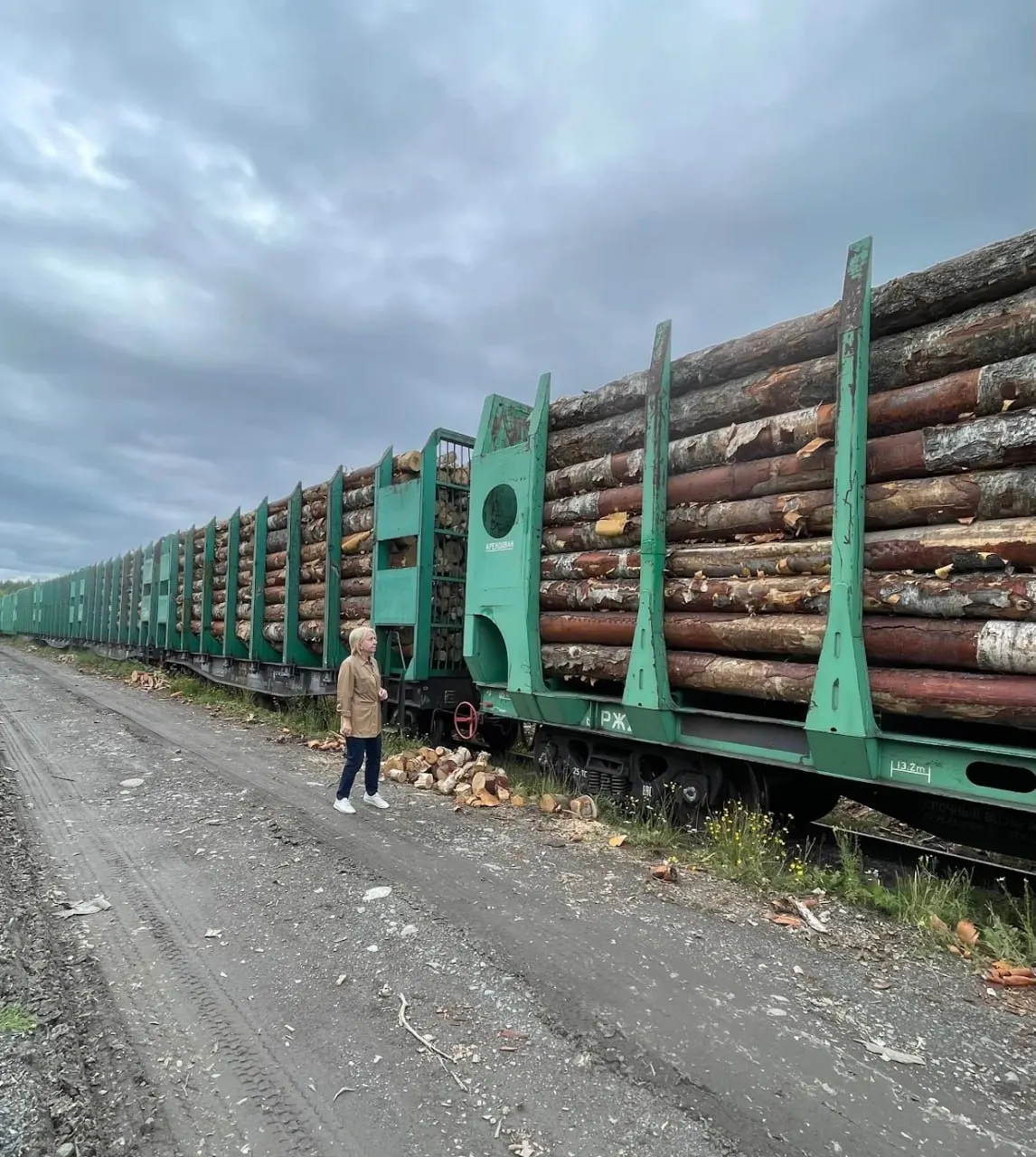 В поселках Кондопожского района люди, оплатившие дрова, рискуют остаться без топлива из‑за реорганизации лесозаготовительных предприятий и вывоза древесины на экспорт.