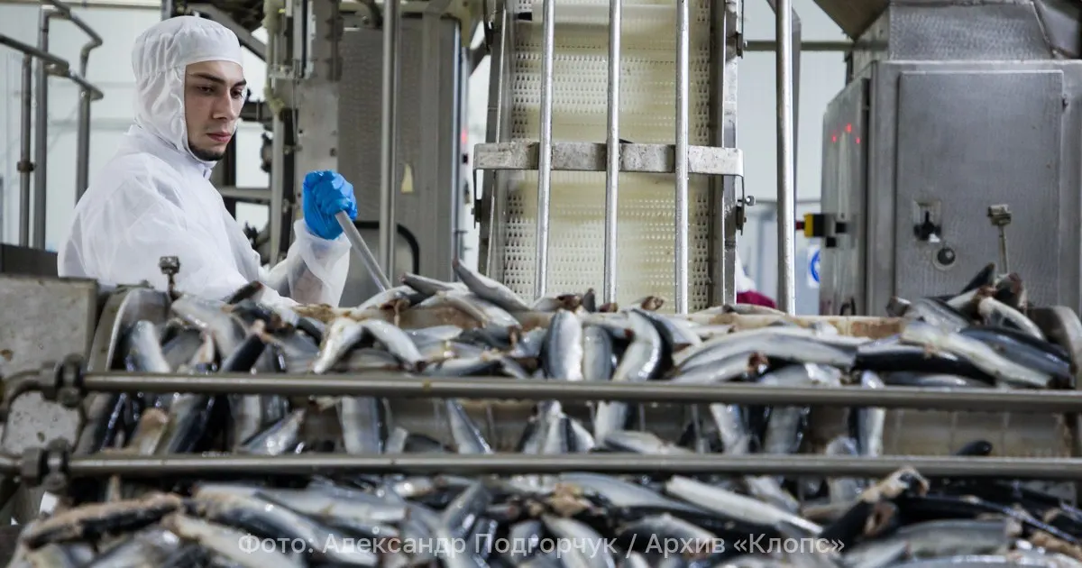 Предприятие отправило на рынок Грузии три партии готовой рыбы и морепродуктов; региональный Россельхознадзор подтвердил безопасность товара после лабораторных исследований.