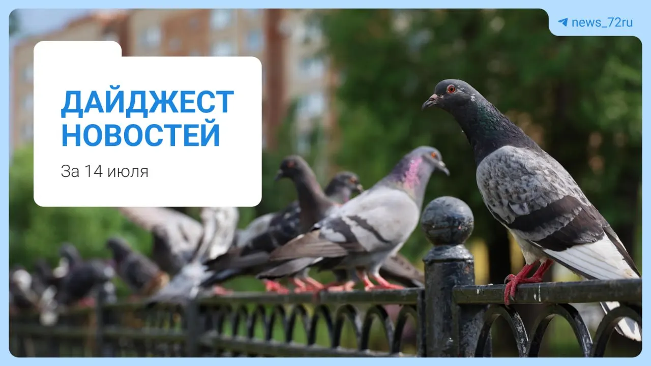Жителям Тюмени начали раздавать уведомления о переходе парковок в центре на круглосуточно платную основу. Короткий дайджест других местных новостей за день.