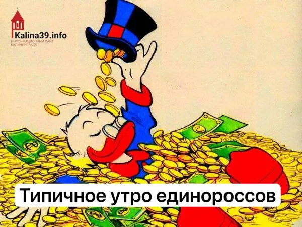 Из деклараций кандидатов следует, что некоторые претенденты задекларировали десятки миллионов рублей в год — в разы больше средних зарплат региона; в документах также фигурируют дорогая недвижимость, автомобили и крупные вклады.