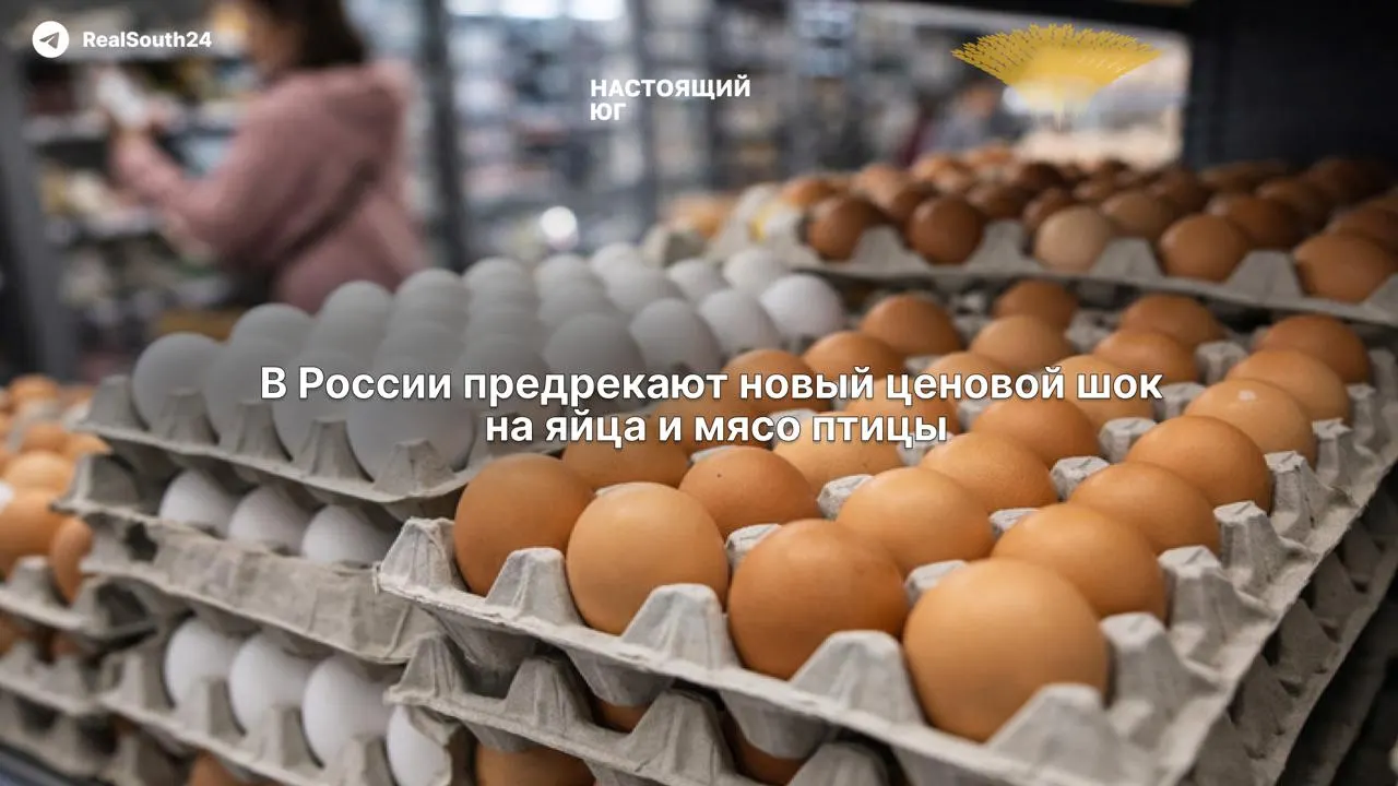 Рентабельность птицефабрик упала до 6–7% при необходимой норме в 15%. Предприятия сокращают персонал и заявляют, что вынуждены перекладывать рост расходов на покупателей из‑за подорожания кормов, логистики, топлива и высоких кредитных ставок.