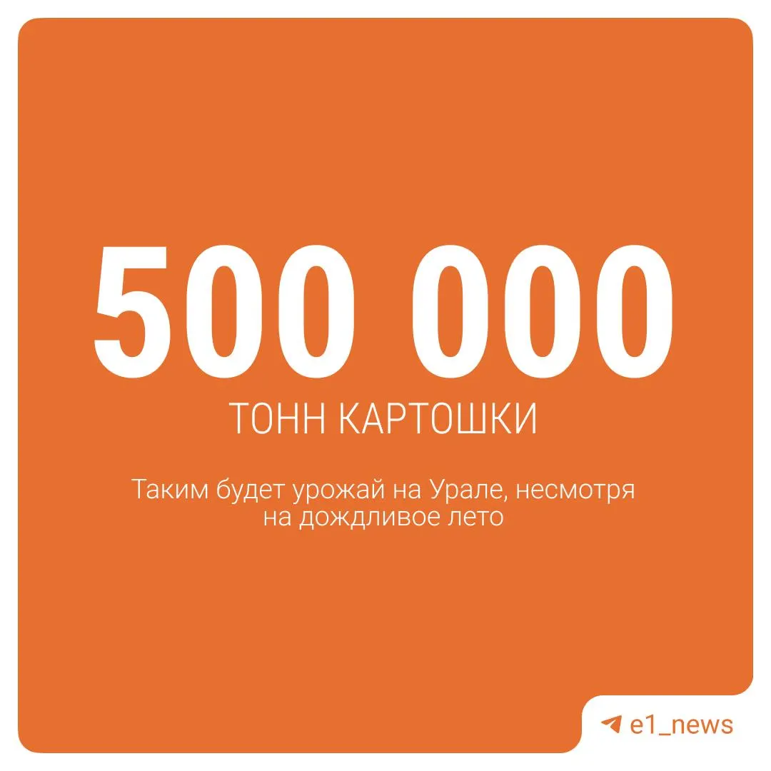 Региональные аграрии прогнозируют сбор картофеля, свёклы, моркови и капусты; Богданович лидирует по урожаю картофеля.