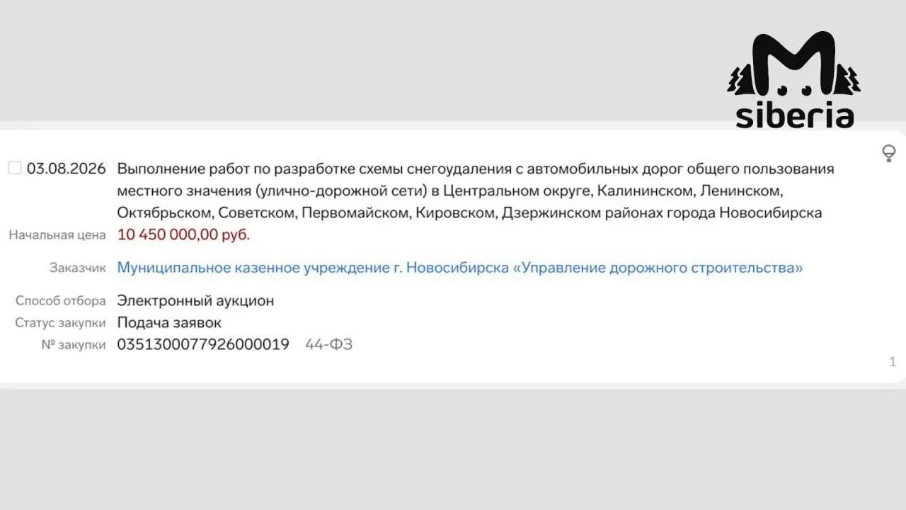 Город планирует разработать схему уборки снега и определить места для вывоза, но реальная ситуация остаётся сложной: нехватка техники, водителей и полигоны заполнены уже в начале зимы.