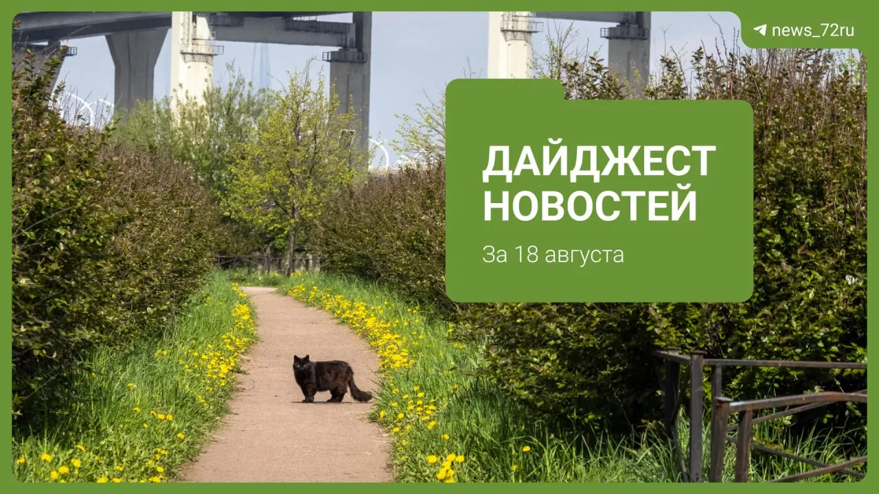 Короткий обзор главных тем региона: истории жителей, происшествия на улицах и вопросы коммунального хозяйства, общественные события и многое другое.