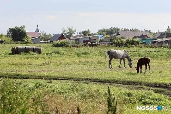 Около 170 тарифов на водоснабжение введено в регионе; расчёт тарифов учитывает инфляцию и затраты на обслуживание сетей, различия по районам объясняются объемами сетей.