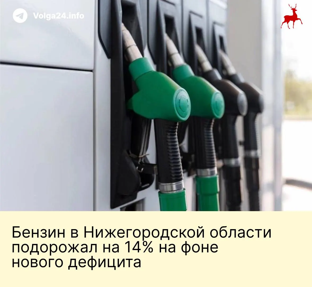 За первые шесть месяцев бензин подорожал, дефицит топлива вернул очереди на заправках; в августе волонтёры вновь помогают регулировать движение.