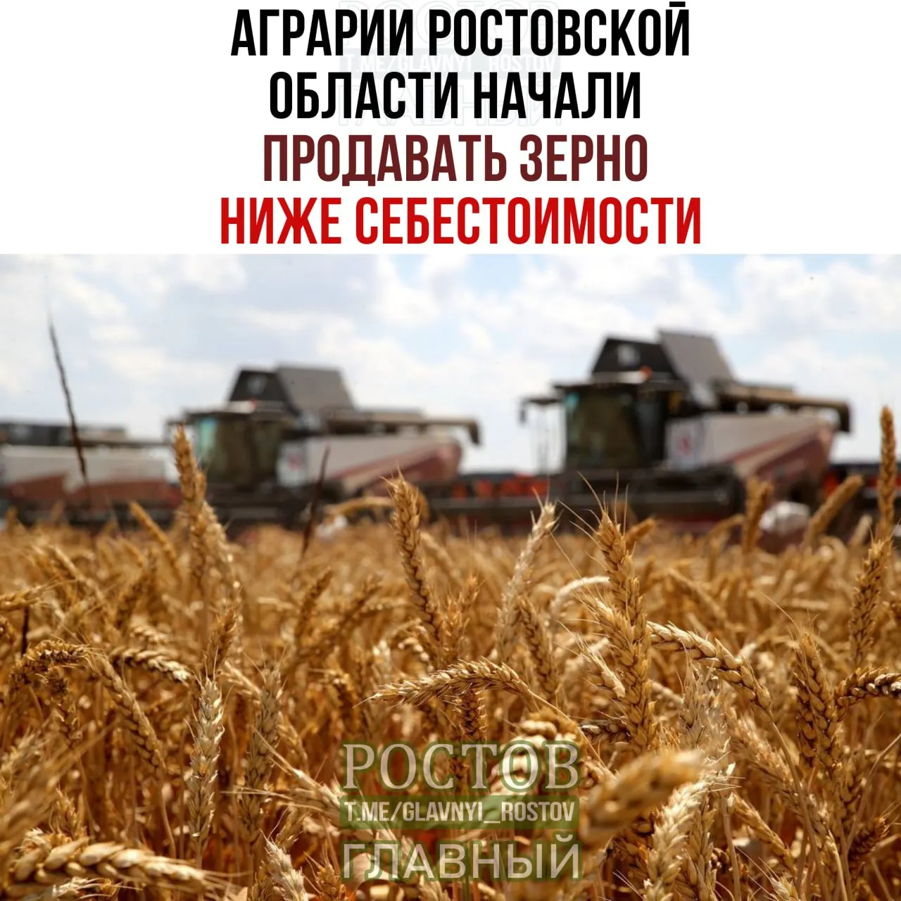 На зерновом рынке региона сохраняется давление: урожай ожидается, но цены падают, фермеры переживают экономическое давление.
