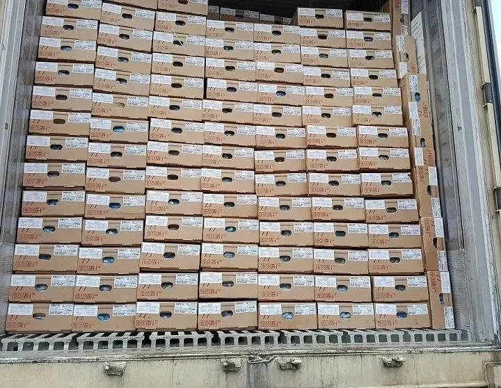 Две партии куриных лапок весом около 54 тонн отправлены во Вьетнам после проверки Россельхознадзора и оформления ветеринарных сертификатов.