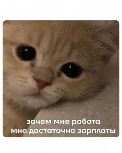 Средняя зарплата в регионе поднялась на 4% с начала года; лидируют специалисты по строительству, сервису и закупкам, а наиболее высокие доходы остаются у вахтовиков.