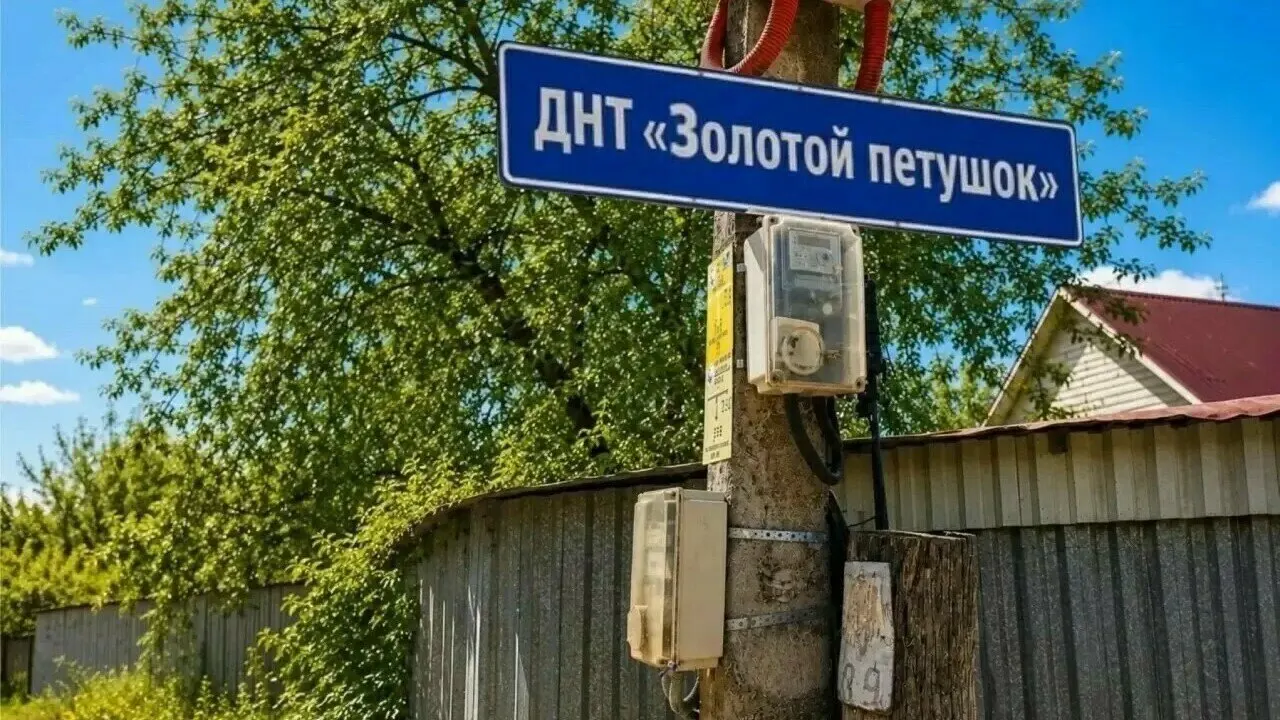 ДНТ в Калининградской области имеет задолженность перед поставщиками электроэнергии на сумму около 18 млн рублей. Начата процедура банкротства, временный управляющий проведёт аудит финансов и проверит сделки и расходование средств.