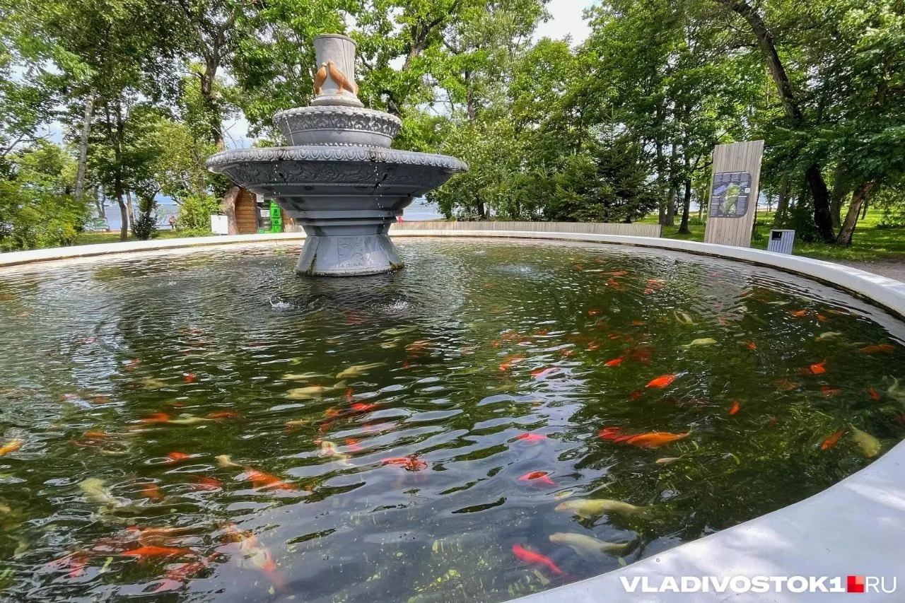 Шесть населённых пунктов Приморского края стали победителями конкурса по созданию комфортной городской среды; на реализацию проектов направят 1,2 млрд рублей.