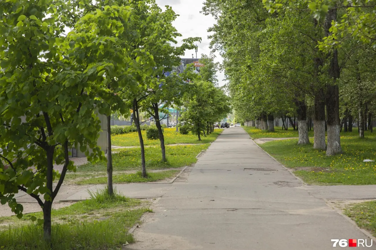 Жители считают, что сквер Ермакова может исчезнуть из центра города из-за действий внешней компании и выделенного бюджета.