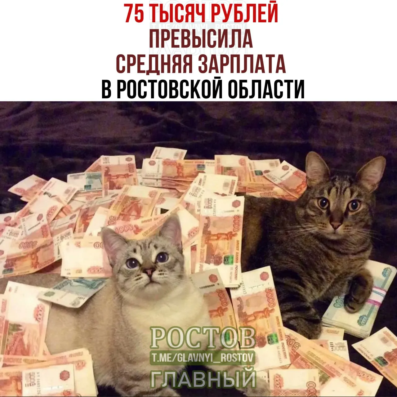 Ростовская область: 75,1 тыс. руб. за январь–май 2026; рост на 14% год к году. По России средняя зарплата в мае достигла 110,2 тыс. руб., Краснодарский край — около 85 тыс. руб.