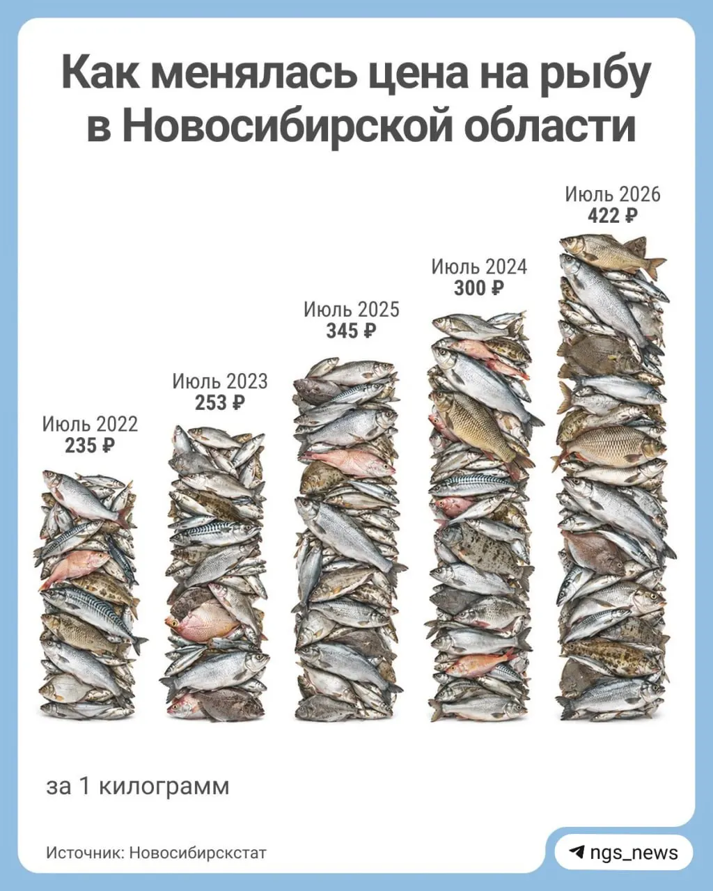 По данным Новосибирскстата, в июле средняя цена за килограмм рыбы составила 422 рубля, рост за пять лет — около 44%.
