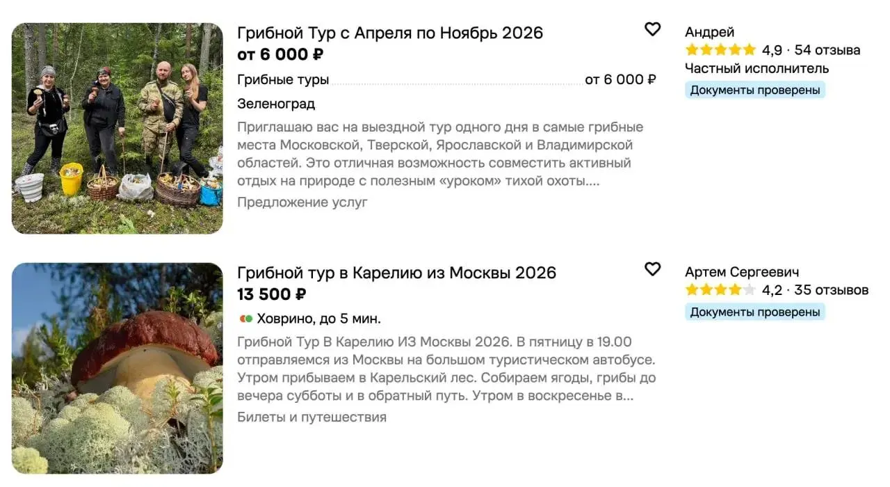 Спрос на грибные туры в августе вырос на 24%, в Москве и Подмосковье примерно на 25%, средняя цена достигла 6100 ₽.