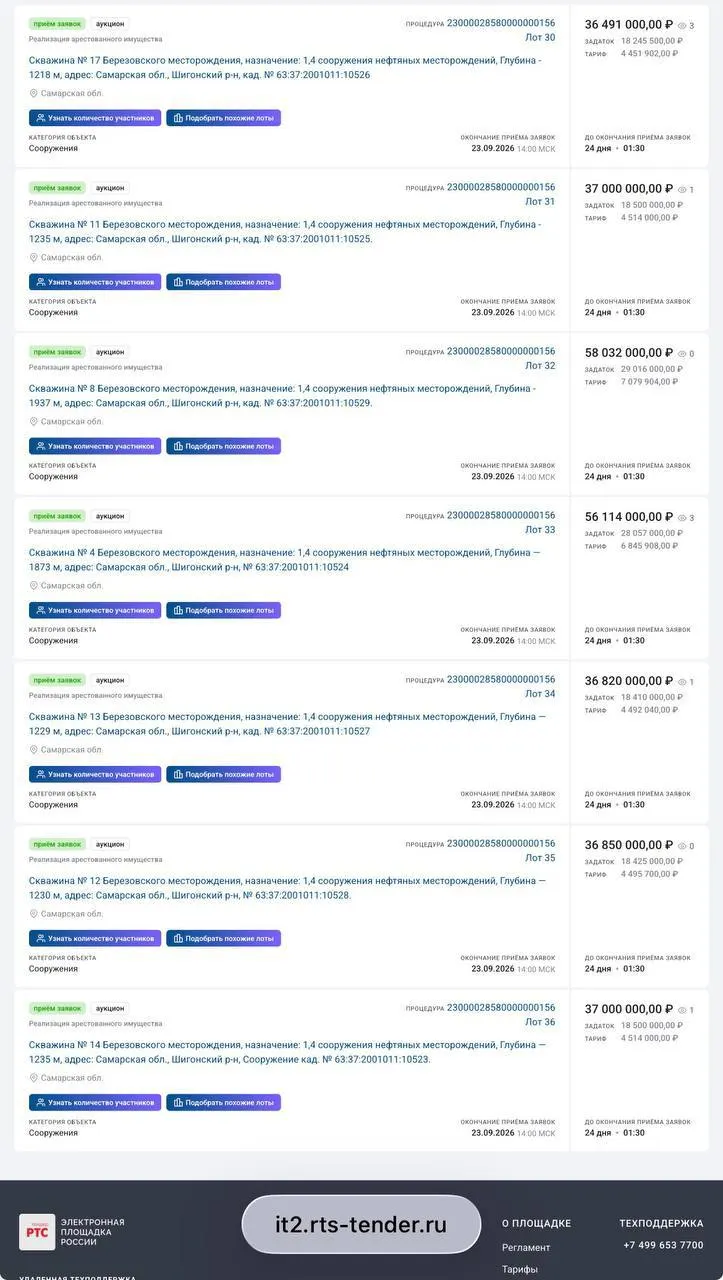 Стартовая цена за первую скважину — 36,5 млн рублей, совокупная стоимость лота достигает примерно 300 млн.