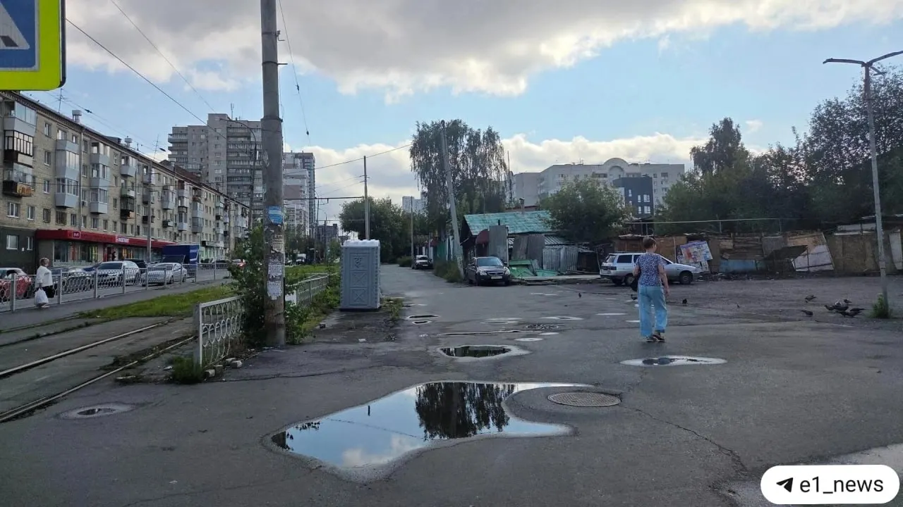 Павильоны не исчезли: торговля перенеслась вдоль Заводской, бабушки продолжают продавать цветы и зелень возле дома.