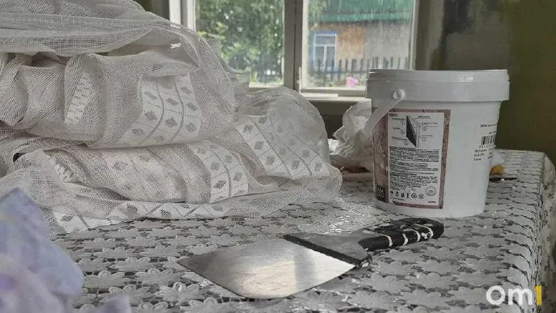 Спрос на возведение частных домов в регионе растёт: Омская область в рейтинге по динамике, минимальная цена за кв.м. начинается около 1 000 рублей.