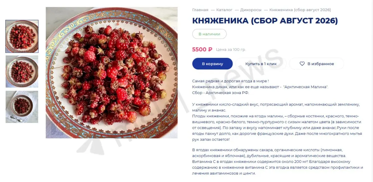 На рынке появилась редкая ягода княженика. Цена за 100 г достигает 5500 ₽, что делает её дороже чёрной икры.