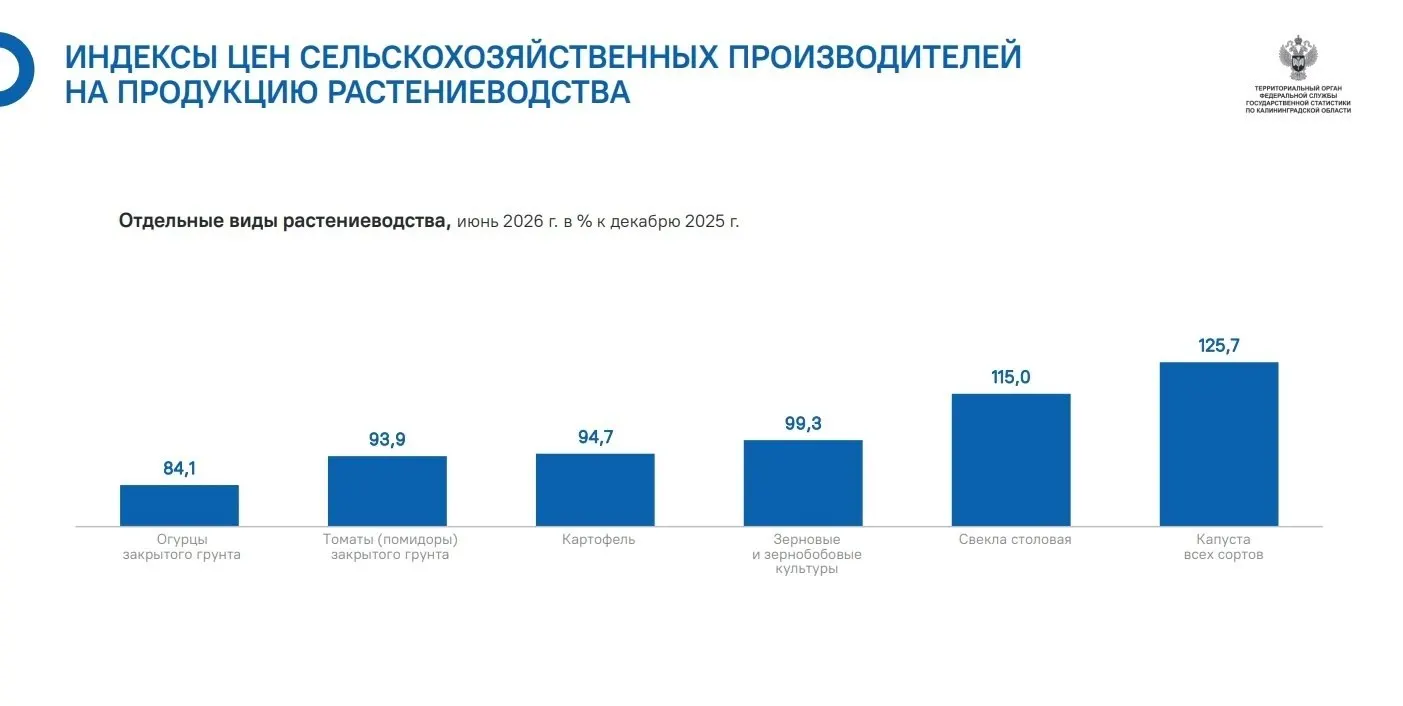 По региону зафиксирован самый резкий рост цен на капусту и свеклу среди основных культур; некоторые позиции, наоборот, подешевели.